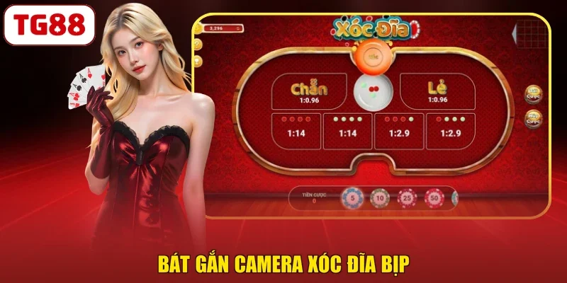 Bát gắn camera xóc đĩa bịp