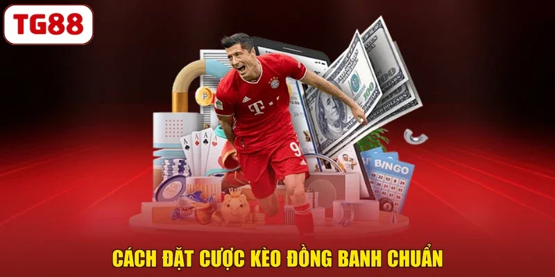 Cách đặt cược kèo đồng banh chuẩn