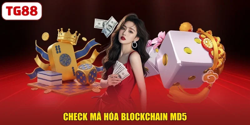 Check mã hóa blockchain MD5