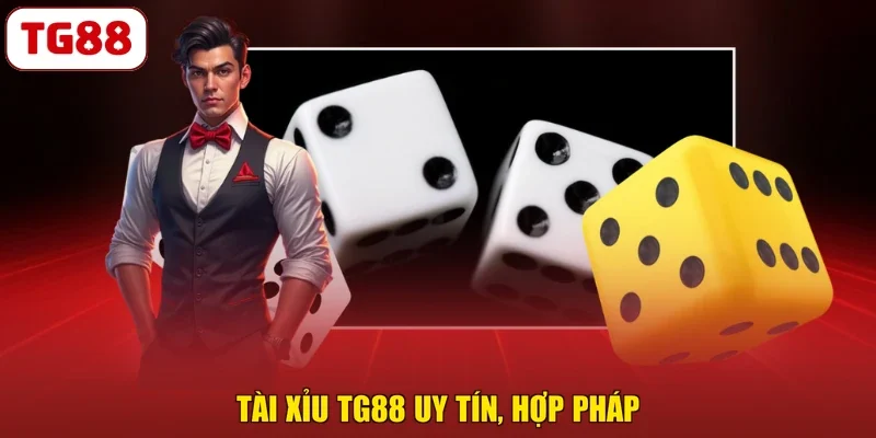 Tài Xỉu TG88 uy tín, hợp pháp